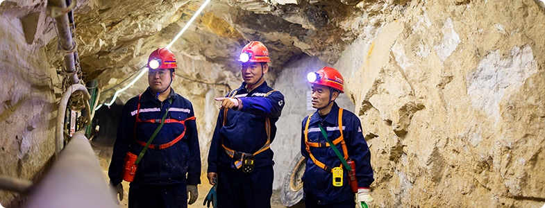 Shandong Humon Smelting Co., Ltd.