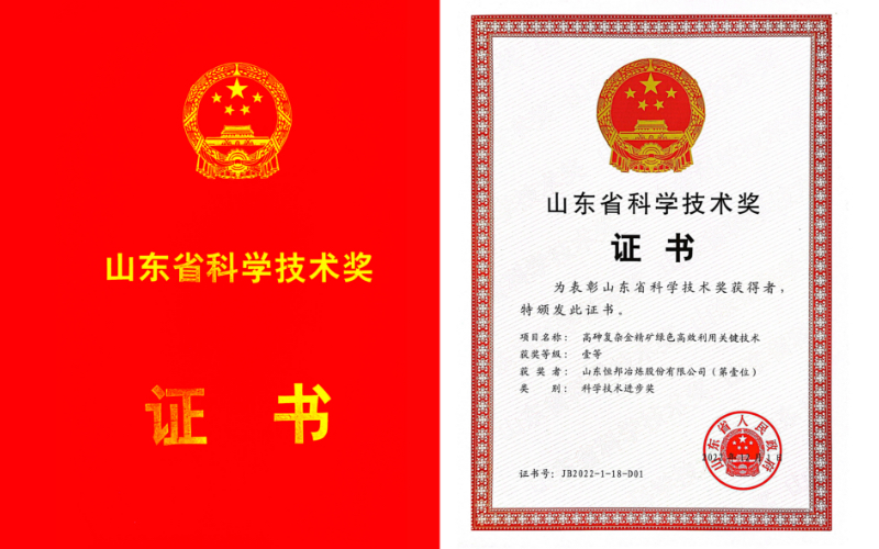 First prize of Science and Technology Award of Shandong Province